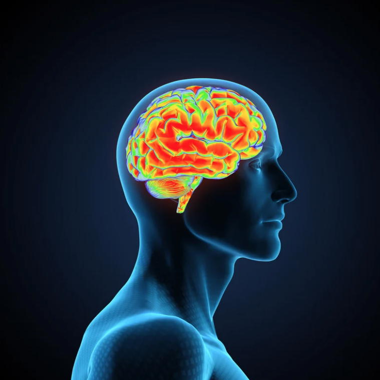 Comprende la Adicción: ¿Cómo Afecta al Cerebro?